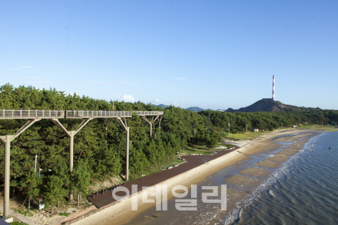 충남 서천 송림산림욕장, 휴양·체험관광 거점으로 변신
