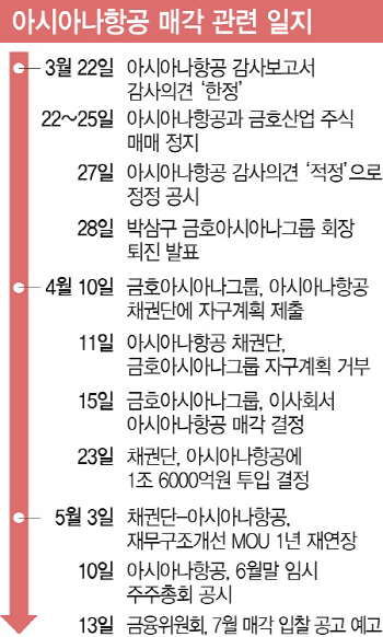 아시아나항공 새주인 찾기 본격화…매각까지 '산 넘어 산'