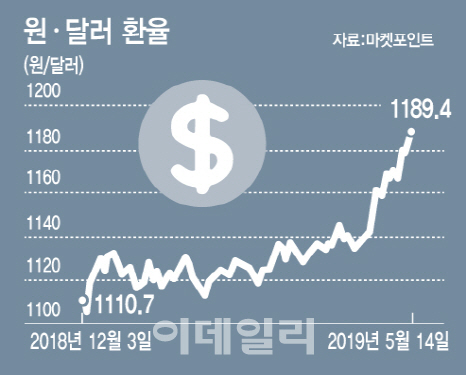 '달러에 베팅하자' 달러 금융상품 봇물…"확실한 투자처 맞나요?"