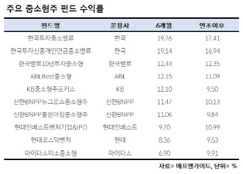 박스권 오락가락…약세장서 돋보인 '중소형株 펀드'