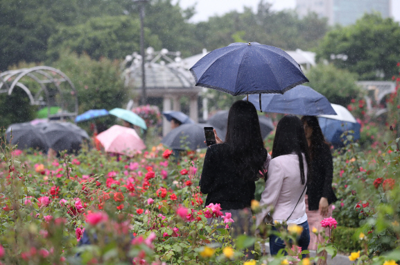 전국 흐리고 오전까지 비…낮부터 기온 '뚝'