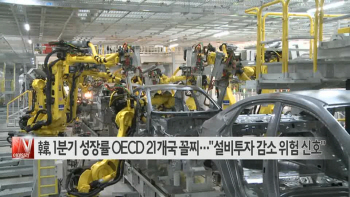  韓, 1분기 성장률 OECD 21개국 꼴찌…"설비투자 감소 위험 신호" 外