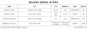 다시 주목받는 원도심…생활인프라 풍부한 신규 단지 ‘눈길’