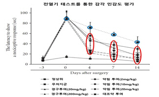 '척추관협착증' 약침으로 염증 통증 완화해 보행능력 향상