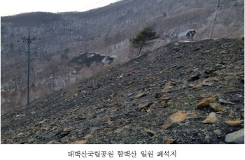 연내 태백산국립공원 함백산 일대 폐전신주 철거한다