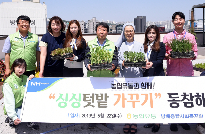 [포토] 농협유통 임직원, 옥상 텃밭 채소 모종 후원