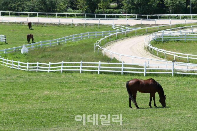 5월 가족들과 목장 나들이, 한국마사회 렛츠런팜 '인기'