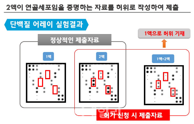 인보사 허가 취소 결정적 근거 셋…불리한 자료 일부러 제출 안 해