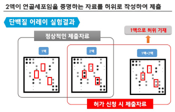 인보사 허가 취소 결정적 근거 셋…불리한 자료 일부러 제출 안 해