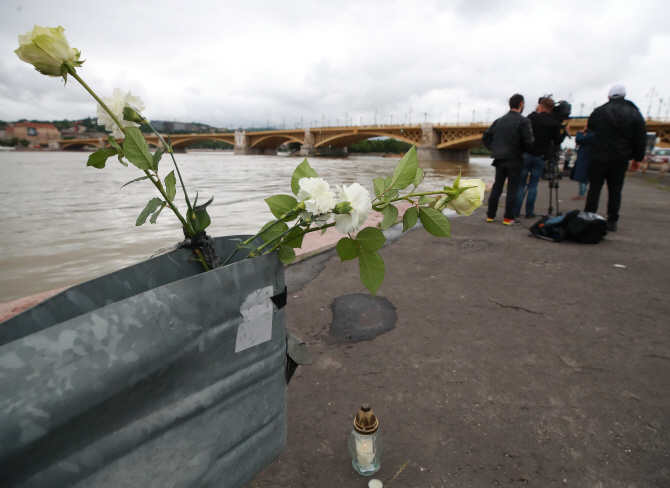 다뉴브강의 비극, 한국인 탑승 유람선 침몰…빠른 유속에 수색 난항