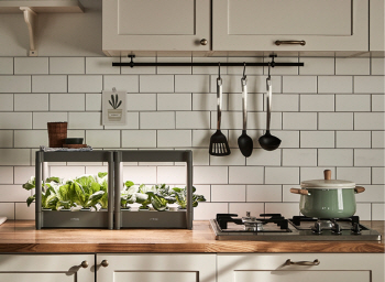 "공기정화에 심리적 안정까지"… 플랜테리어 제안하는 한샘