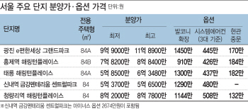 싼 분양가 뒤엔 고가 옵션…말 뿐인 '로또 청약'