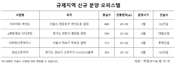 정부 분양가 통제에 주거용 오피스텔 관심 ‘쑥’