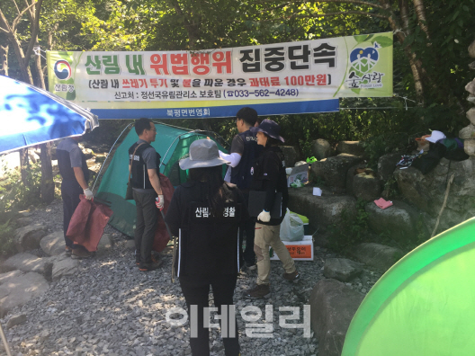 산림청, 8월까지 여름철 산림 내 불법행위 기동단속