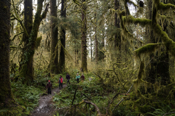 동화 속 상상이 현실로…’80일간의 세계일주’