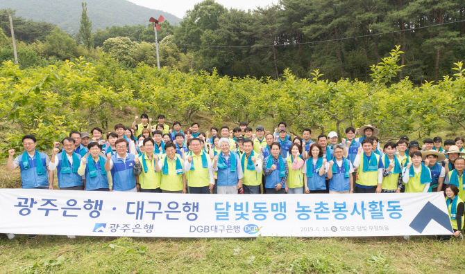 '달빛동맹' 대구·광주銀, 전남 담양서 공동 농촌 봉사활동