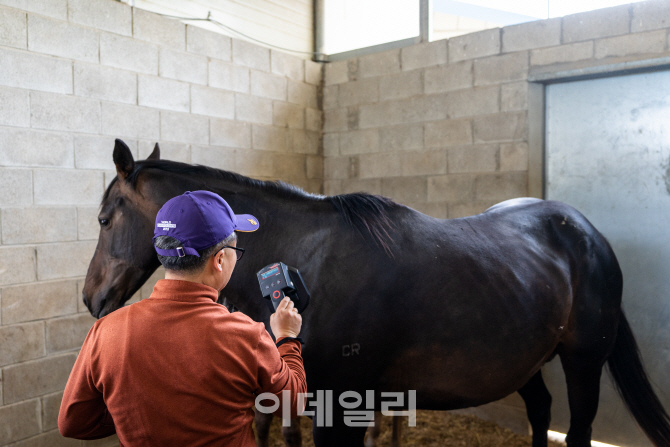 경주마 주민등록, 한국마사회 말(馬) 등록 전수조사