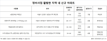 올해 재개발·재건축아파트 19만가구…2000년 이후 최대