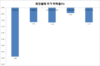 中전자상거래법 지침 발표에 화장품株 주춤