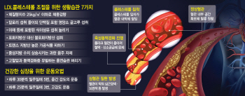 '나쁜' LDL콜레스테롤 쌓이면 혈관 막아…심근경색. 뇌줄중 발병 위험 높여