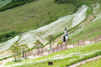 평창 '청옥산 육백마지기'에서 도레미송을 부른다