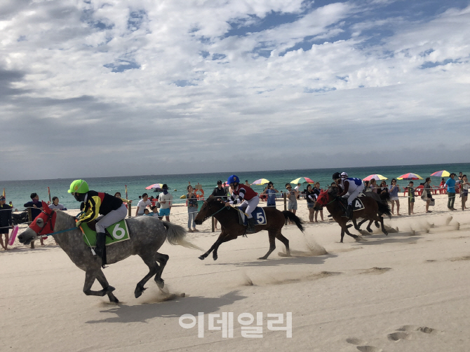 한국마사회, 7일 제주 곽지 해수욕장서 제주마 해변 경주대회