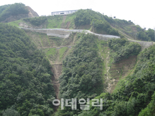 산림청, 산림복원사업 본격 추진…산림자원법 개정안 시행