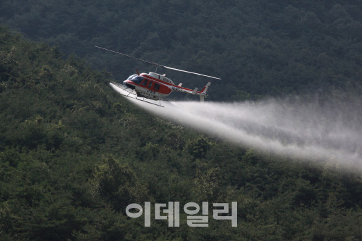 산림항공관리본부, 내달 4일까지 밤나무항공방제 실시