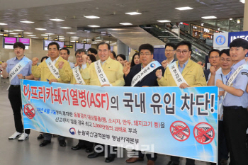 아프리카돼지열병 행동지침 개정…방역 미비점 보완