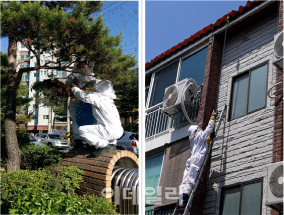 지난해 벌 쏘여 10명 사망…“벌집 보면 119 신고하세요”