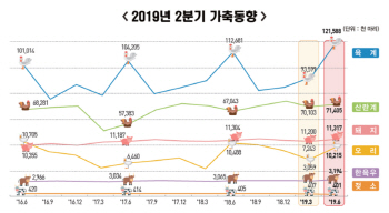송아지값 상승…2분기 한·육우 사육마릿수 증가세