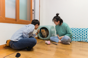 [동네방네]광진구, 개물림 사고 예방 ‘찾아가는 동물훈련사’