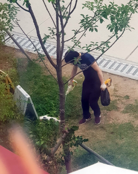 경찰, '경의선 숲길 고양이' 사체 유기 피의자 조사중