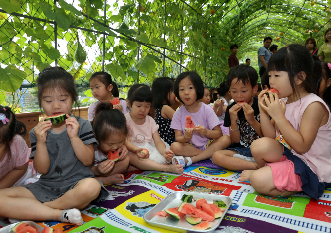 [포토] 용산마을농원 수박 시식하는 어린이들
