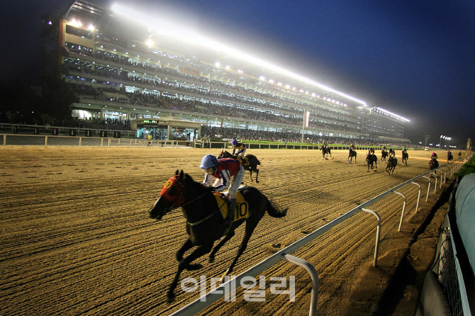 국산·외산 신예 경주마들의 2000m '진검승부'
