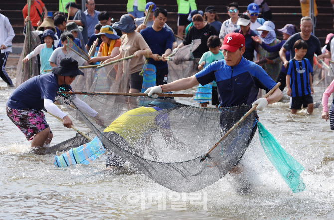 [포토] 은어잡이 체험