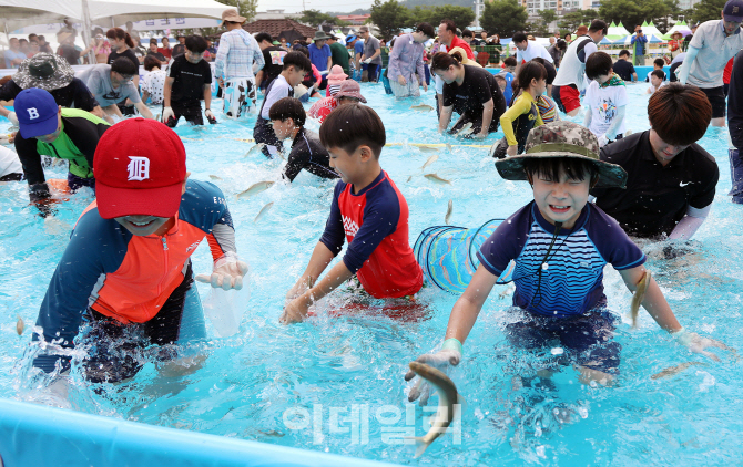 [포토] 은어 맨손잡이 체험