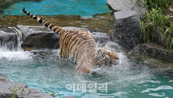 [포토]덥다 더워!