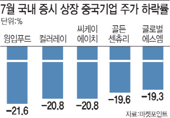 "주주 모시고 현장탐방"…中 기업 차이나 디스카운트 떨치기 '안간힘'
