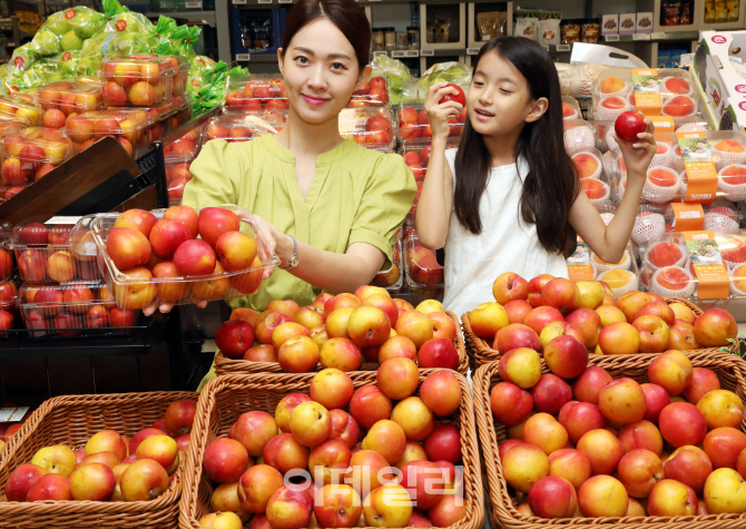 [포토] 제철맞은 '포모사 자두'