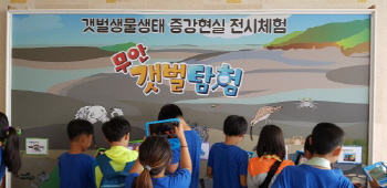 디앤피코퍼레이션, 'AR 전시체험' 시작.."갯벌생물생태 콘텐츠 인기"