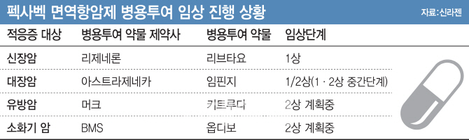 신라젠 "모든 신약개발 실패 아냐…신장암 등 면역항암제 병용임상 집중"