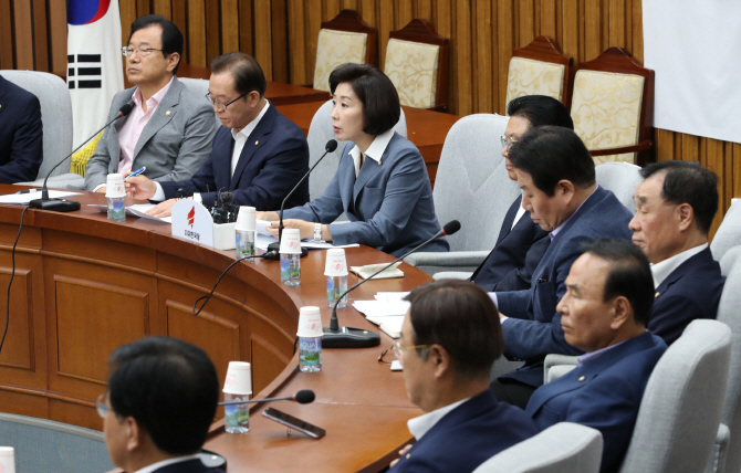 [新한일전쟁]나경원 "금융시장 만신창이인데 평화경제? 소가 웃을 일"