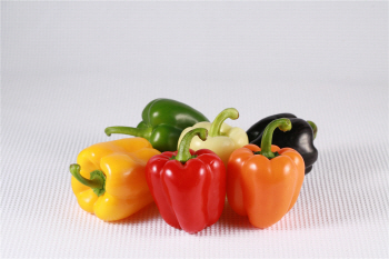 농식품 ‘큰 손’ 일본 수출길 막힐라…농식품부 대책마련 팔 걷어