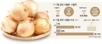 가격 폭락이 수출 호재로…양파의 '웃픈' 현실