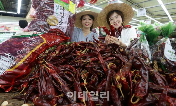 [포토] 태양초 햇 건고추 출하