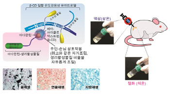 KIST, 원하는 대로 분화시킬 수 있는 줄기세포 주사 기술 개발