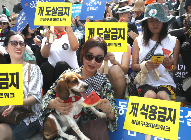 "말복에는 개고기 대신 수박 드세요"…동물단체, '개 식용' 중단 촉구