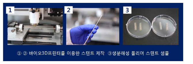 기계硏, 바이오3D프린팅 이용 차세대 생분해성 폴리머 스텐트 개발