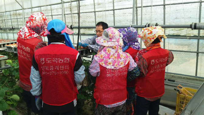 농협, 농촌 인력 지원사업 우수사무소 5곳 선정